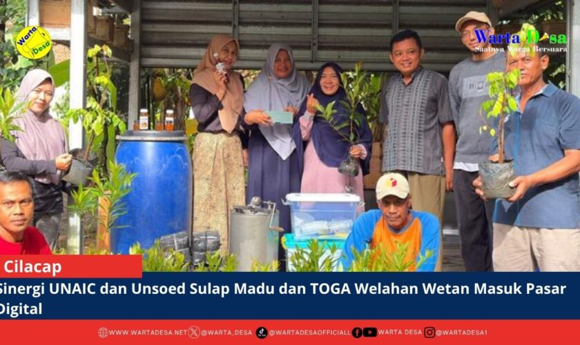 berita web(3)