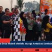 berita web(4)