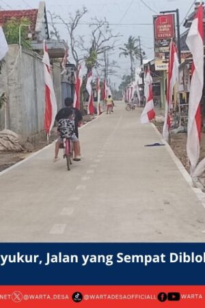 berita web(4)