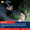 template berita foto warta desa(9)