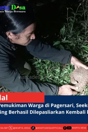 template berita foto warta desa(9)