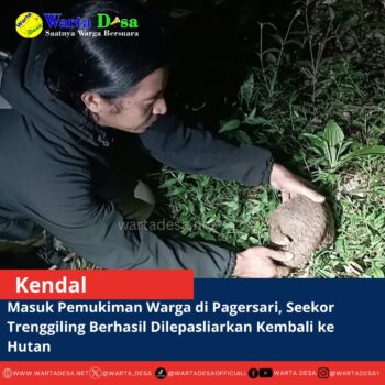 template berita foto warta desa(9)