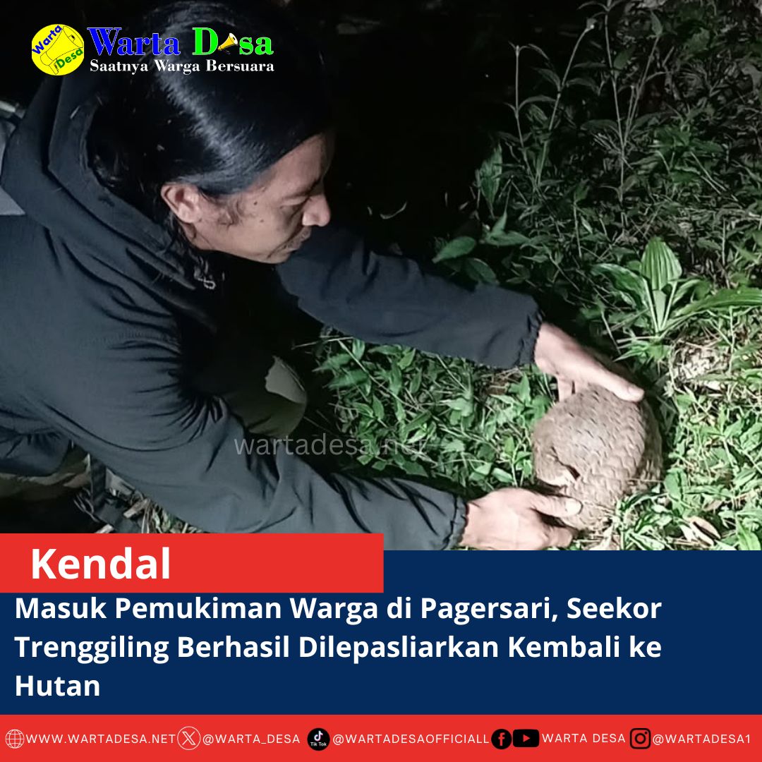 template berita foto warta desa(9)