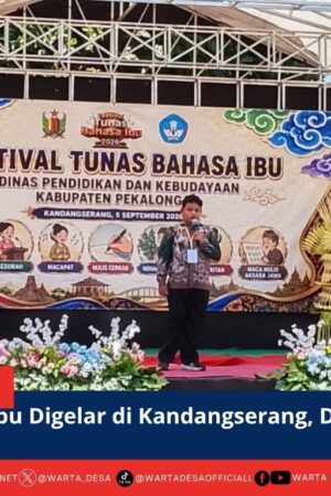 berita web