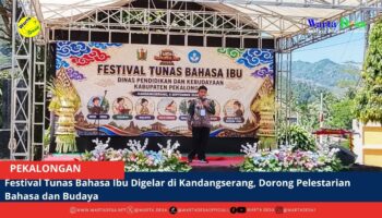 berita web