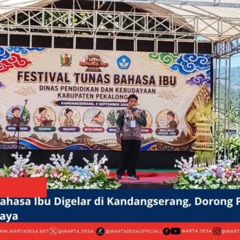 berita web