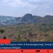 berita web