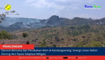berita web