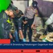 berita web