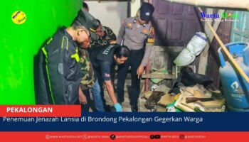 berita web