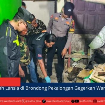 berita web