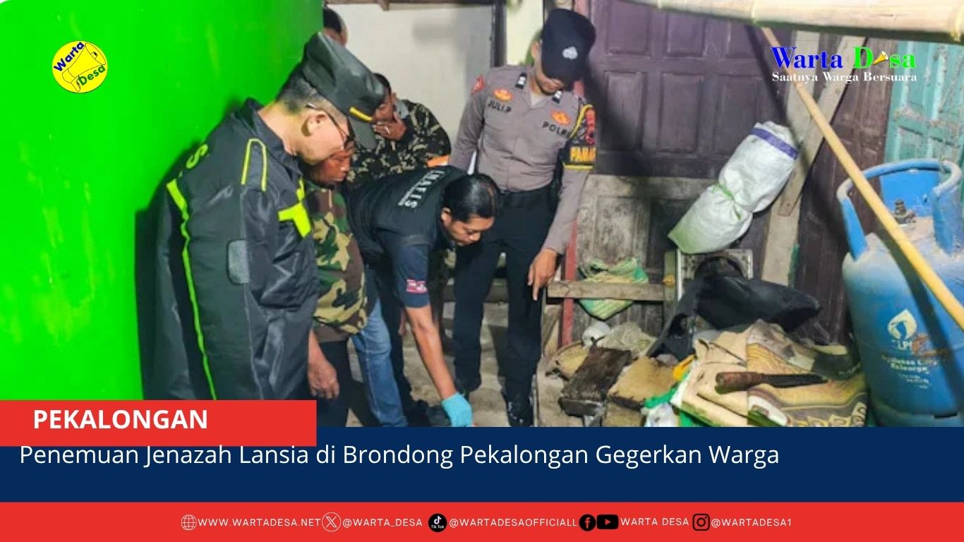 berita web