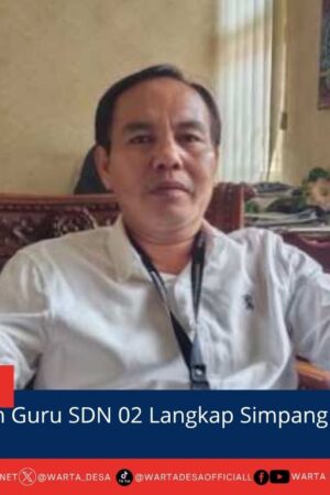 berita web