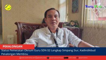 berita web