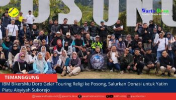 berita web