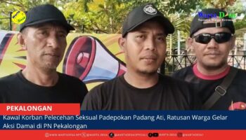 berita web