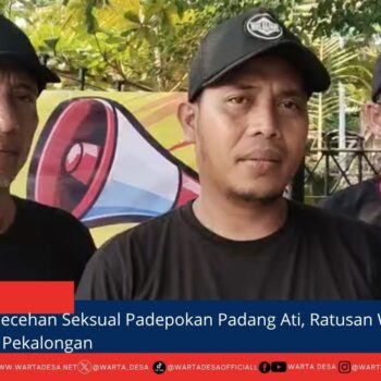 berita web