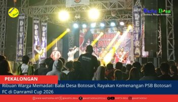 berita web