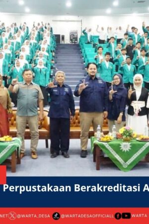 berita web
