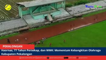 berita web
