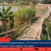 berita web