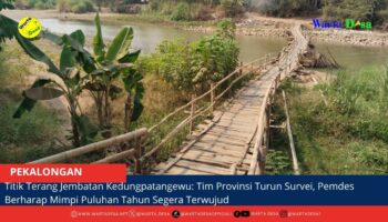 berita web