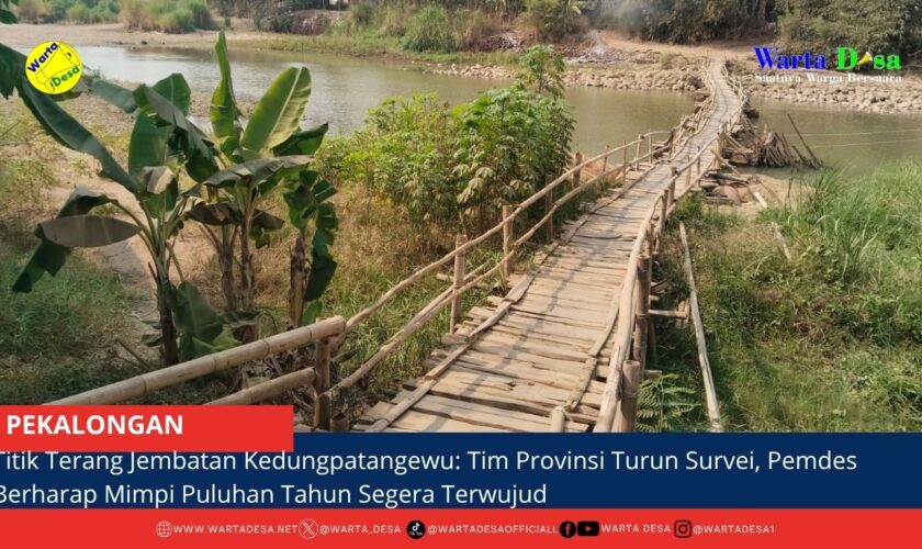 berita web