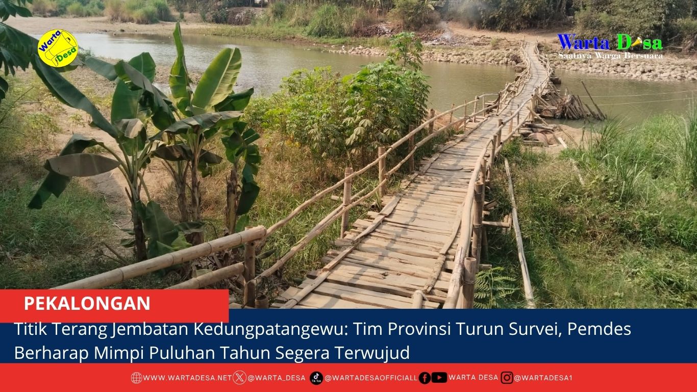 berita web