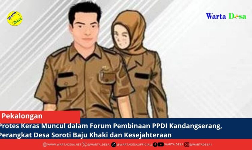 berita web