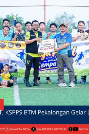berita web