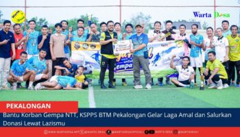 berita web