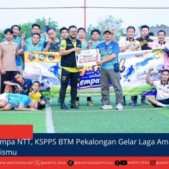 berita web
