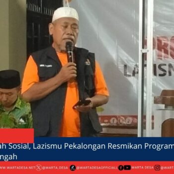 berita web(1)