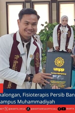 berita web(1)