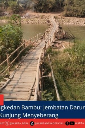 berita web(1)