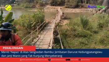 berita web(1)