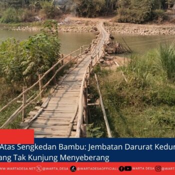 berita web(1)