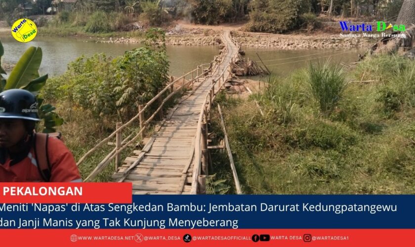 berita web(1)