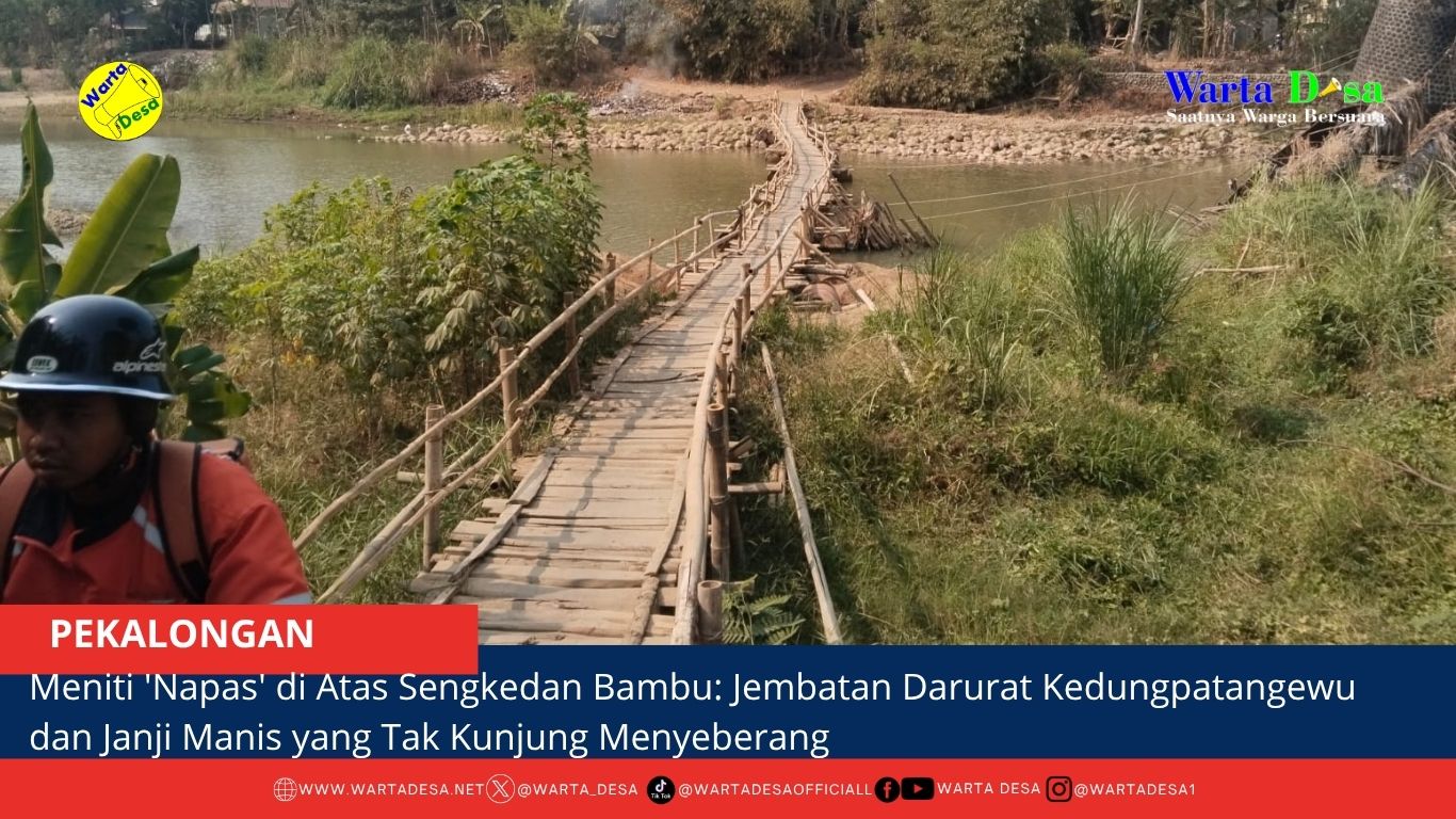 berita web(1)