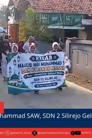 berita web(1)