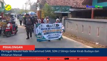 berita web(1)