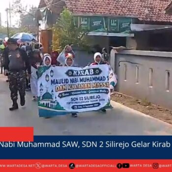 berita web(1)