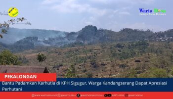 berita web(1)