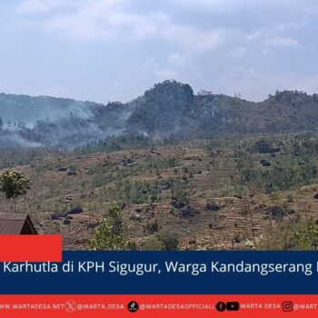 berita web(1)