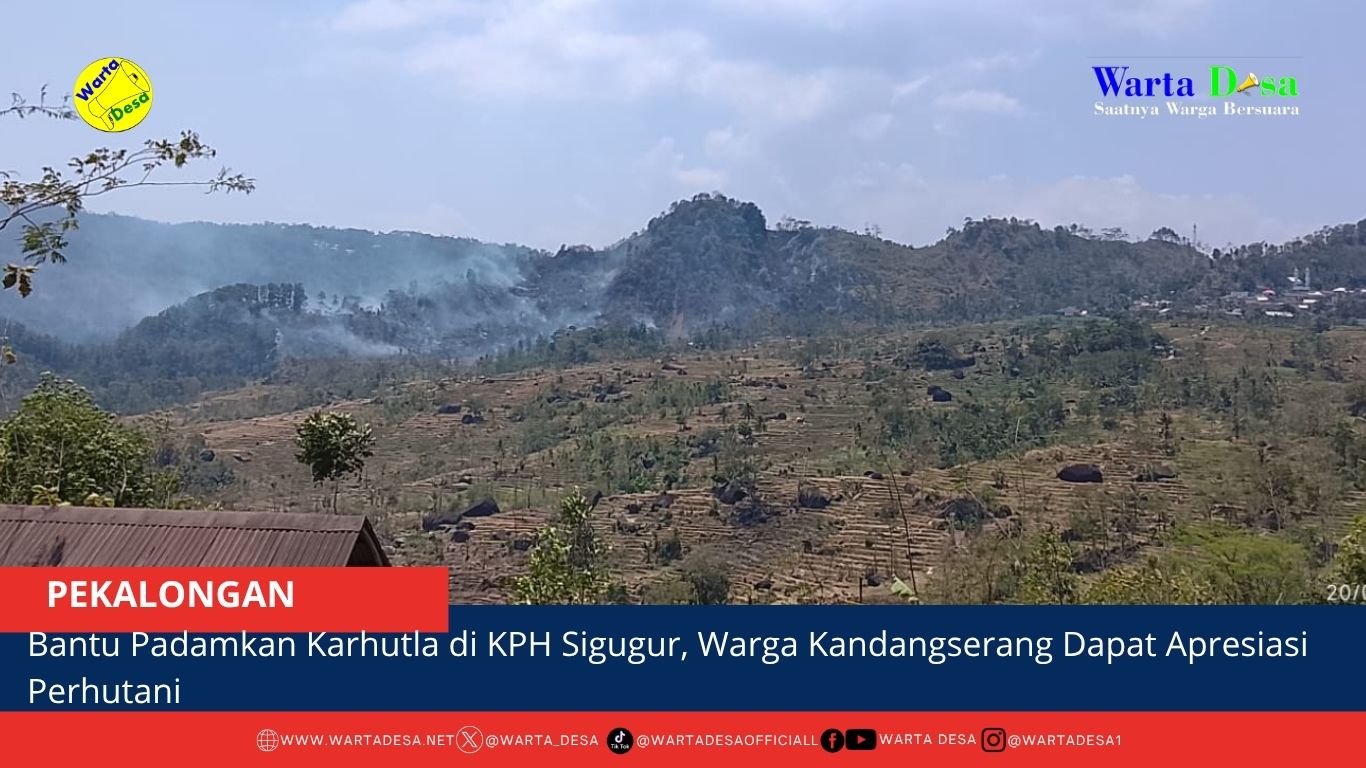 berita web(1)