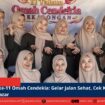 berita web(10)