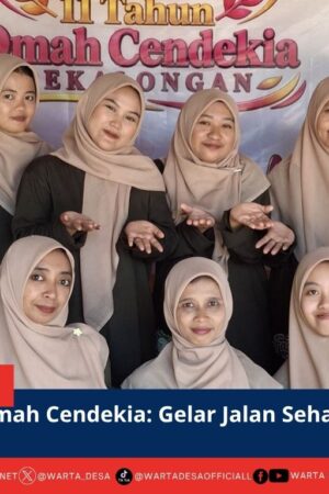 berita web(10)