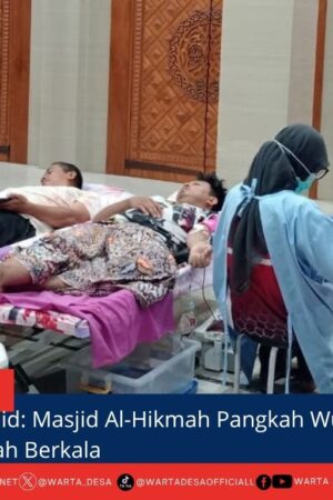 berita web(11)