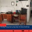berita web(2)