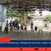 berita web(2)
